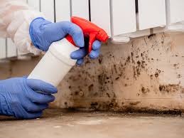 Forensic Mold Investigation in La Verkin, UT